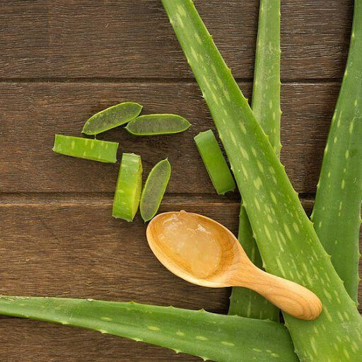 Aloe skin outlet benefits